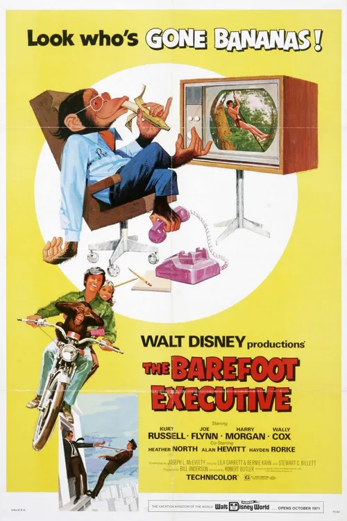 The Barefoot Executive