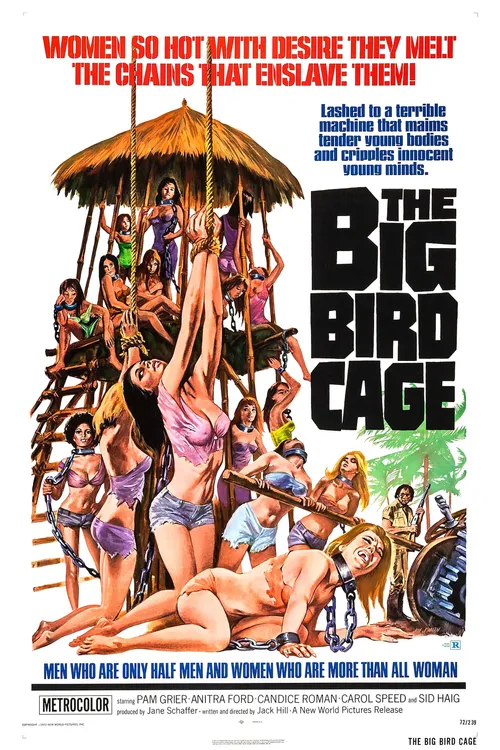 The Big Bird Cage