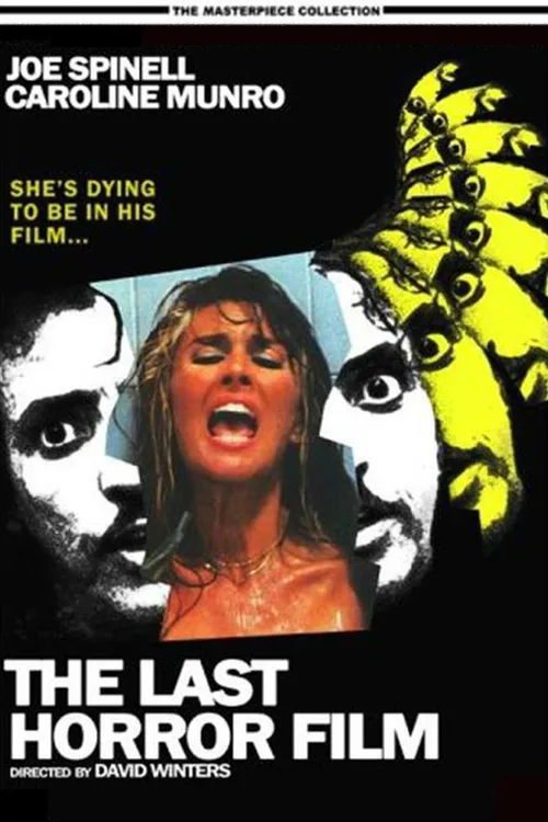 The Last Horror Film