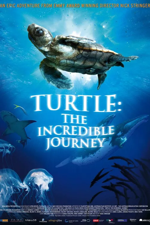 Turtle: The Incredible Journey