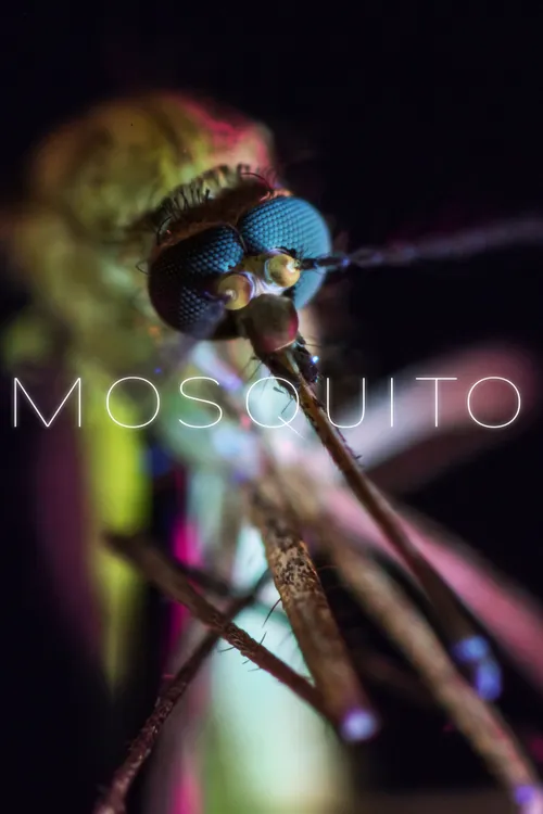 Mosquito