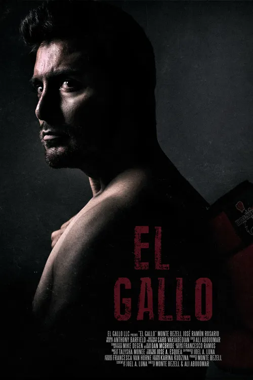 El Gallo