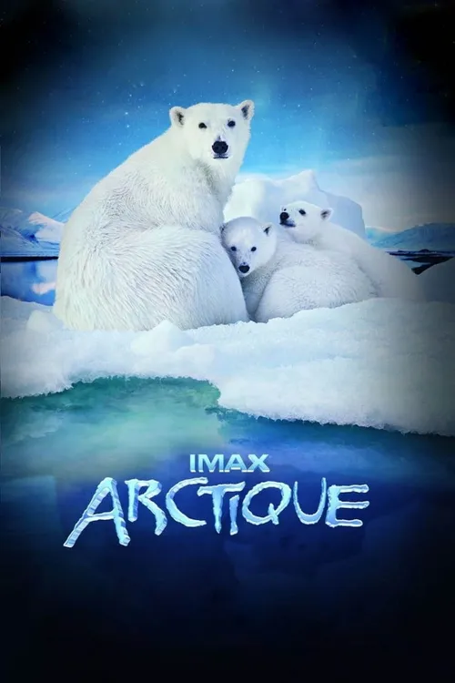 To the Arctic 3D