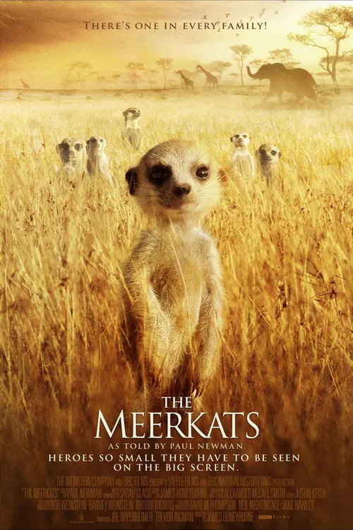 The Meerkats