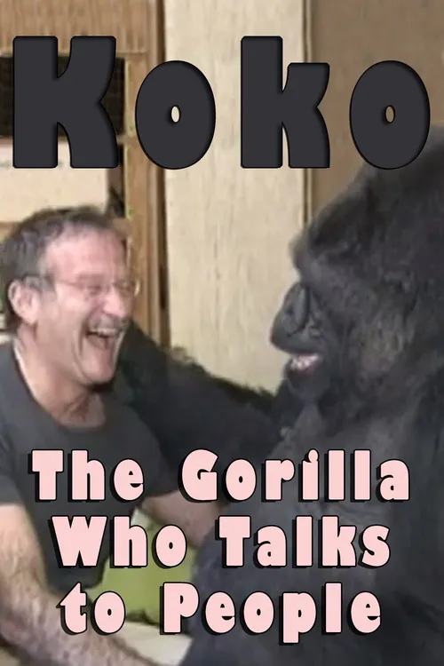 Koko: The Gorilla Who Talks to People