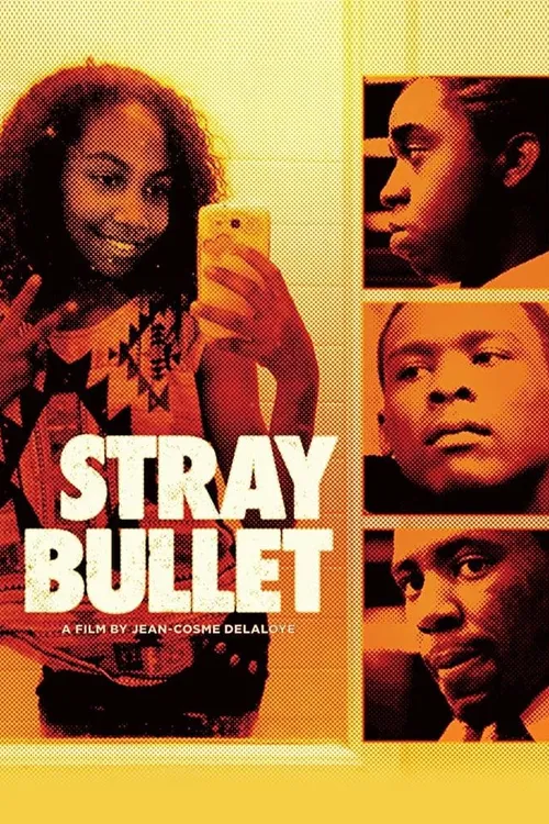 Stray Bullet