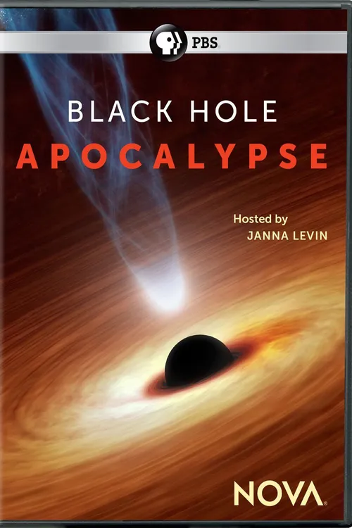 Black Hole Apocalypse