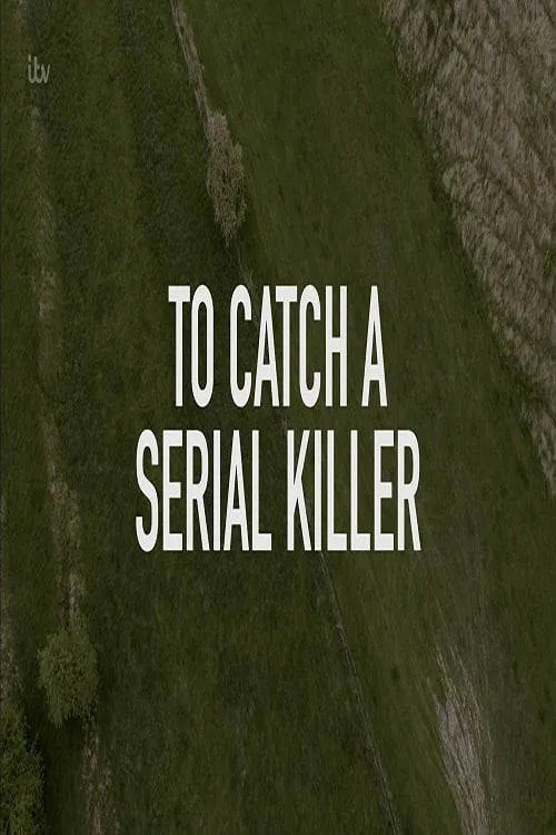 How to Catch a Serial Killer