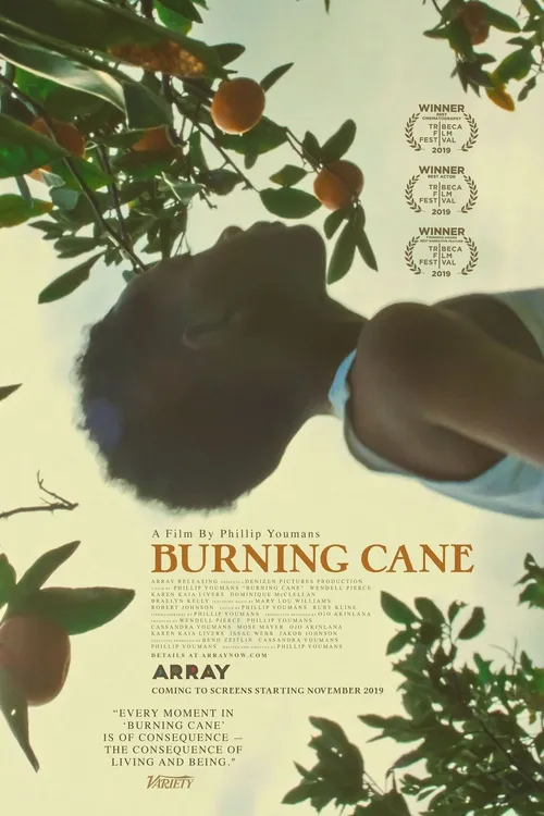 Burning Cane