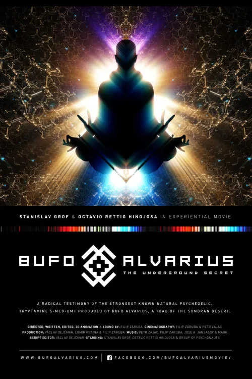 Bufo Alvarius: The Underground Secret