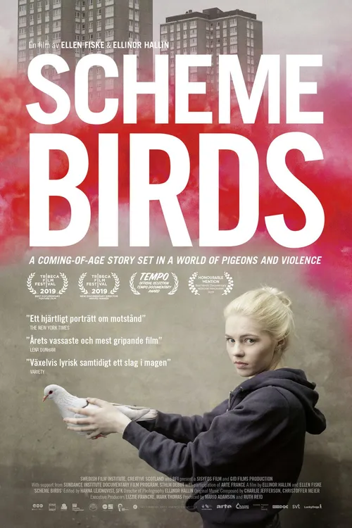 Scheme Birds