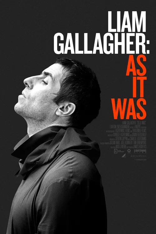 Liam Gallagher: As It Was