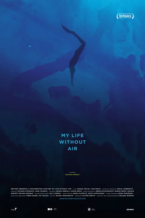 My Life Without Air