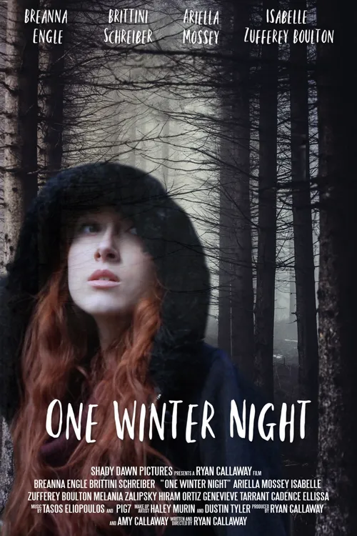 One Winter Night