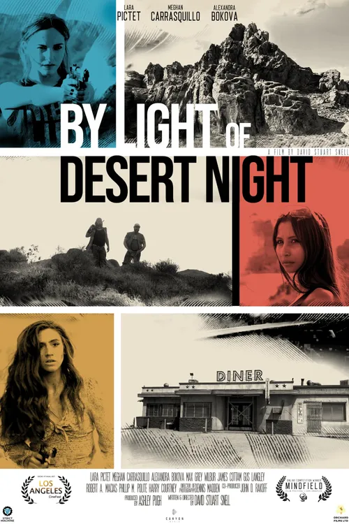 By Light of Desert Night