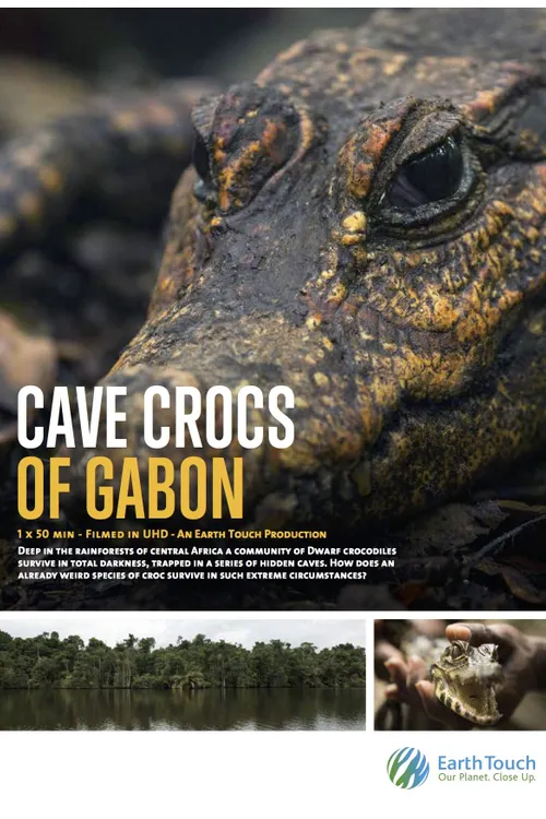 Cave Crocs of Gabon