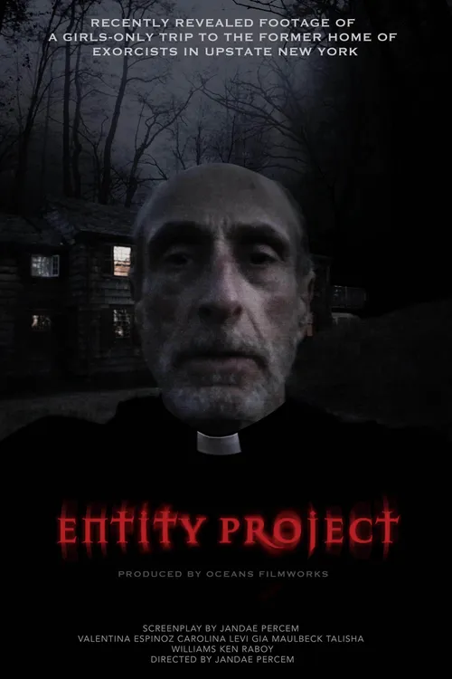 Entity Project