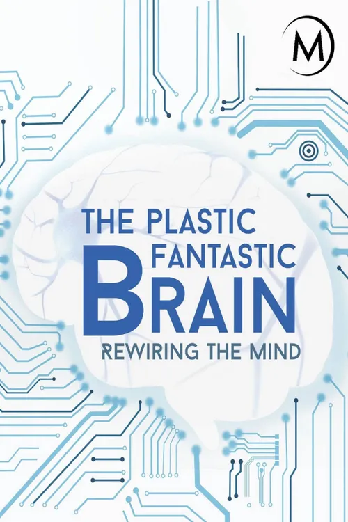 The Plastic Fantastic Brain