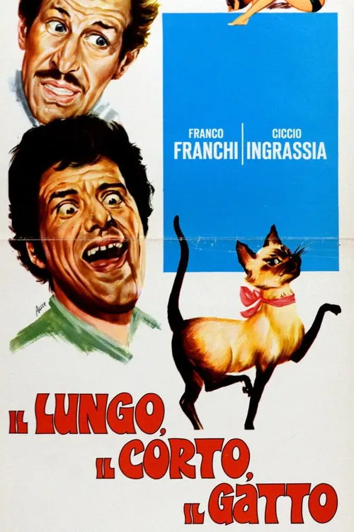 Il lungo, il corto, il gatto