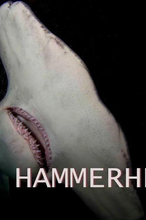 Mega Hammerhead