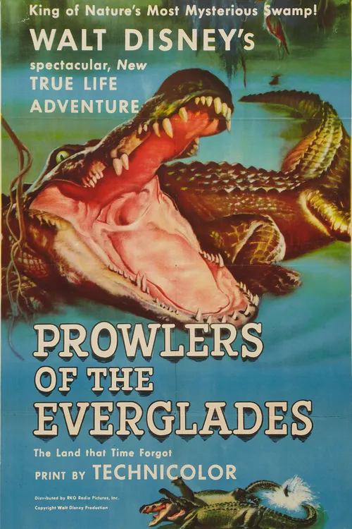 Prowlers of the Everglades