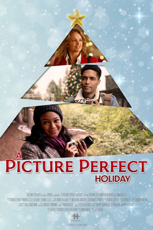 A Picture Perfect Holiday