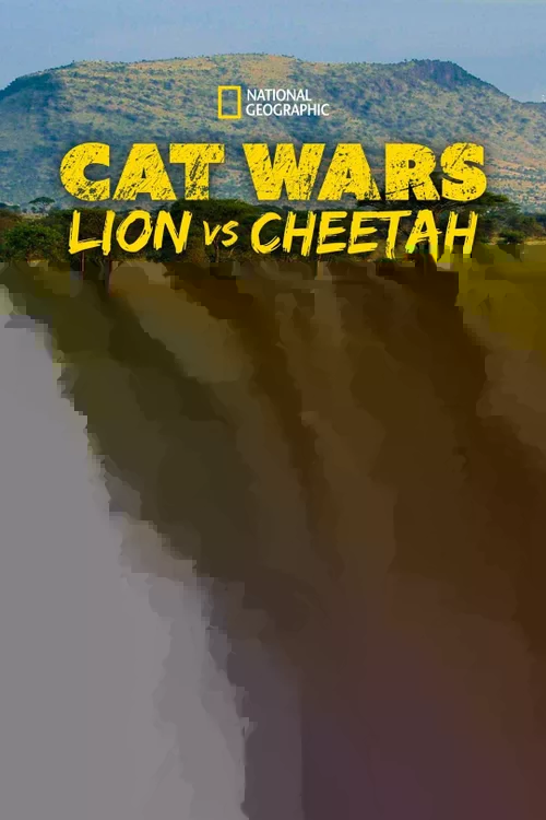 Cat Wars: Lion Vs. Cheetah