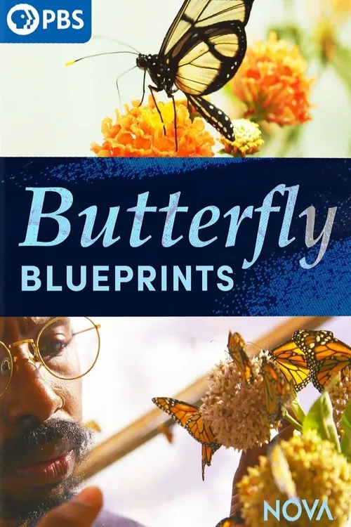 Butterfly Blueprints