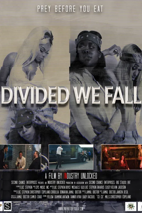 Divided We Fall