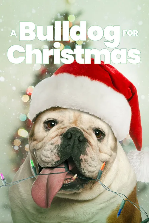 A Bulldog for Christmas