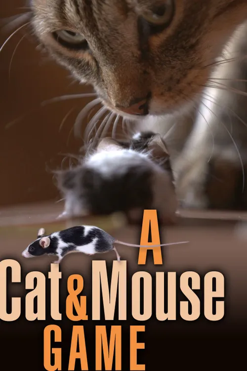 A Cat and Mouse Game