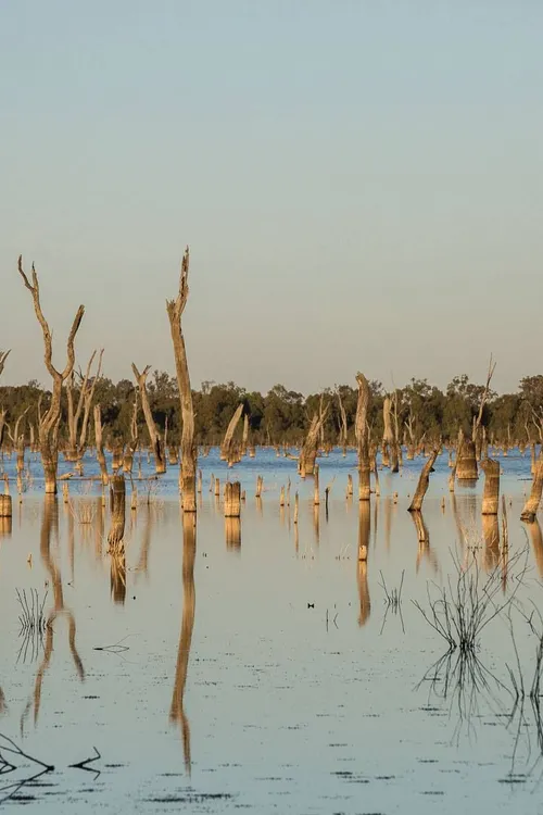 The Lake of Scars