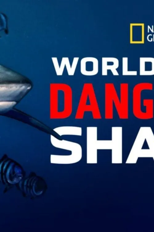 World's Most Dangerous Shark