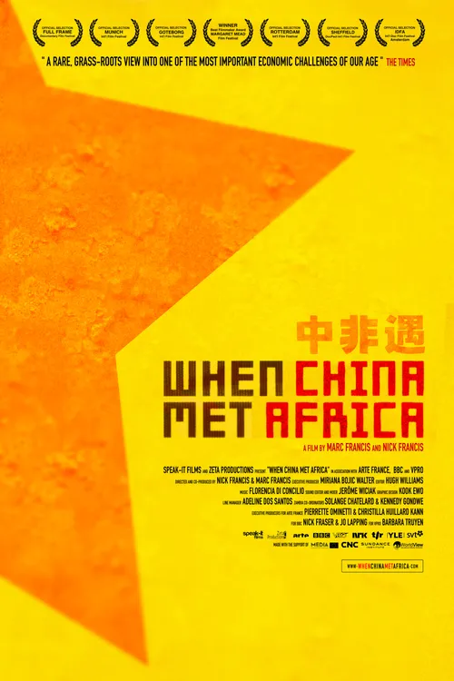 When China Met Africa