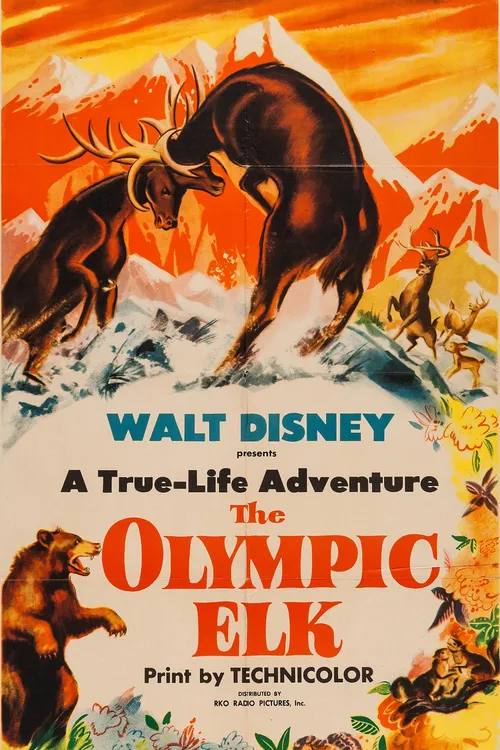 The Olympic Elk